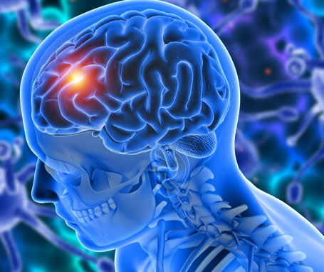 Neurogenetique-